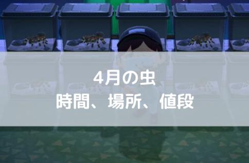 虫 レア あつ森
