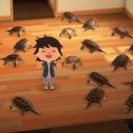 森 南半球 虫 あつ