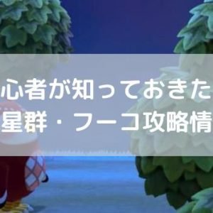 あつ森フーコが来る日