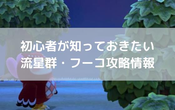 あつ森 フーコいない 流れ星