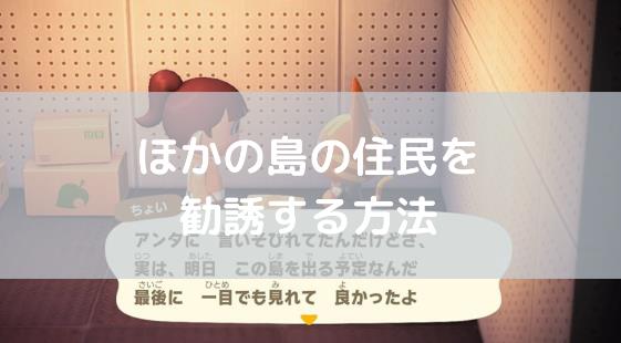 他の島 キャンプサイト 勧誘